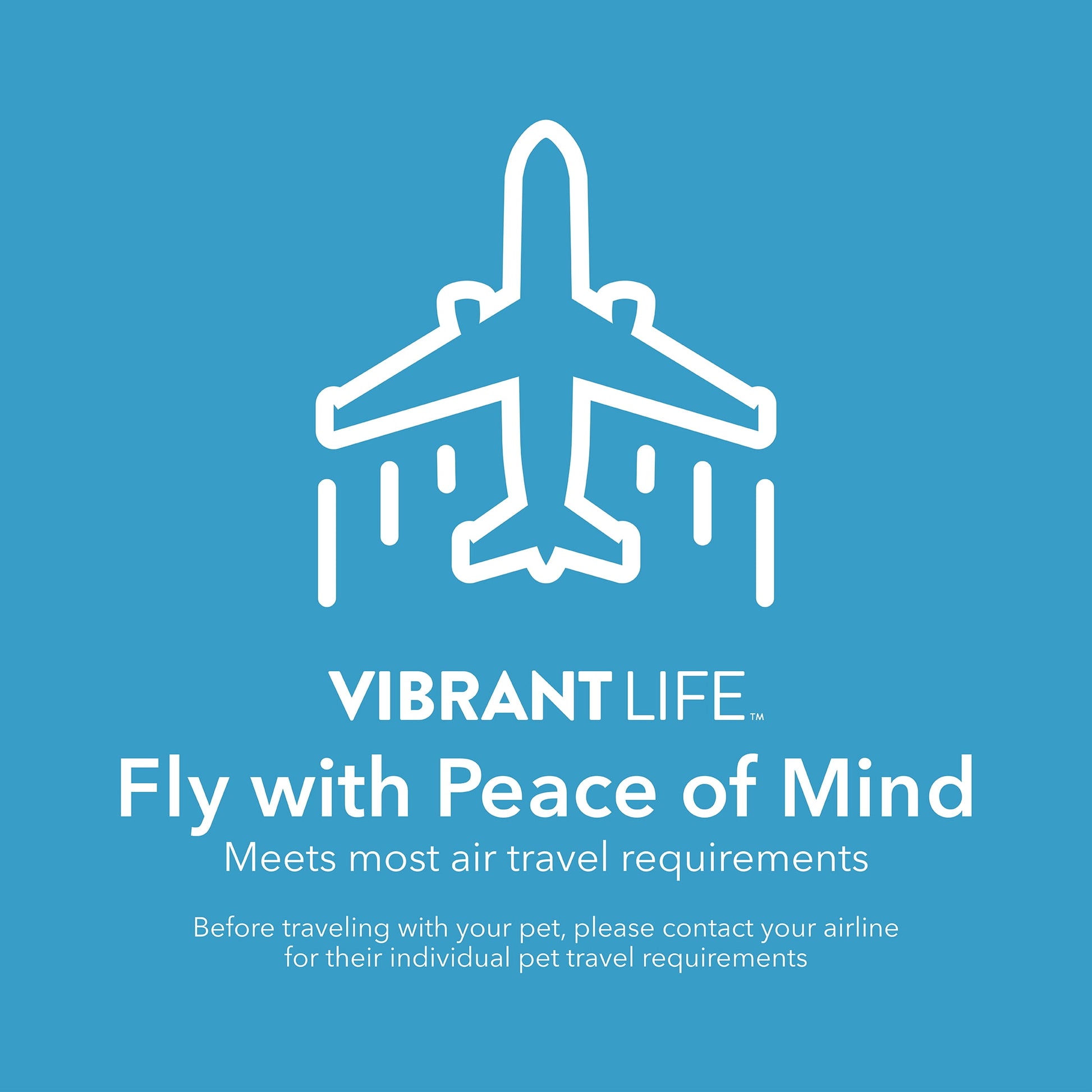 Pet Portable Kennel for Dogs, Hard-Sided Travel Carrier, Durable, Metal Door, Black & Grey, for Pets up to 10 Lbs, 19" L X 12.3" W X 10.8" H