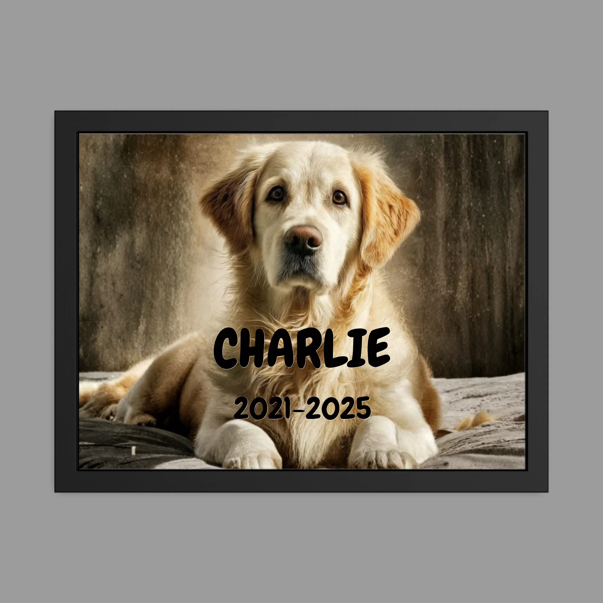 18″ x 24″ Framed Poster