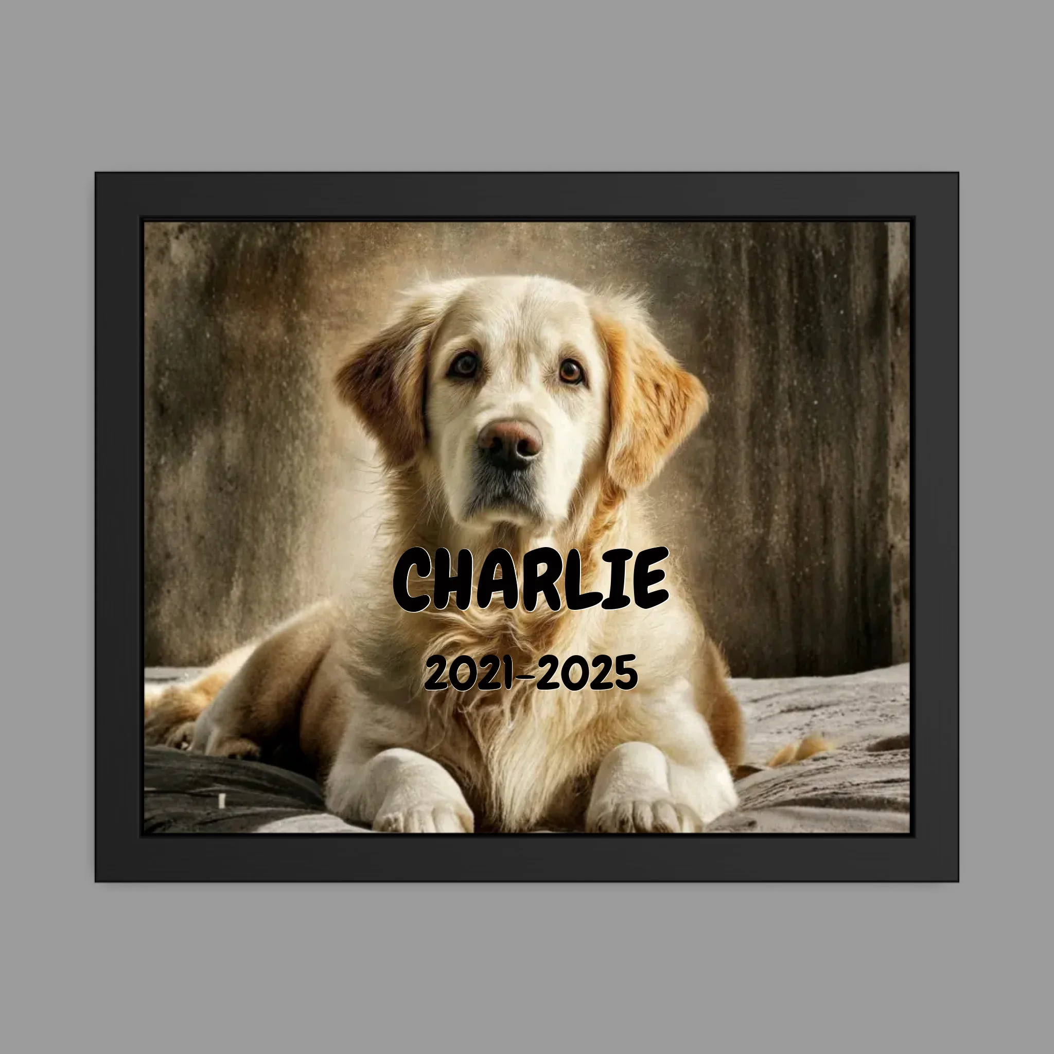 16 x 20 Framed Poster