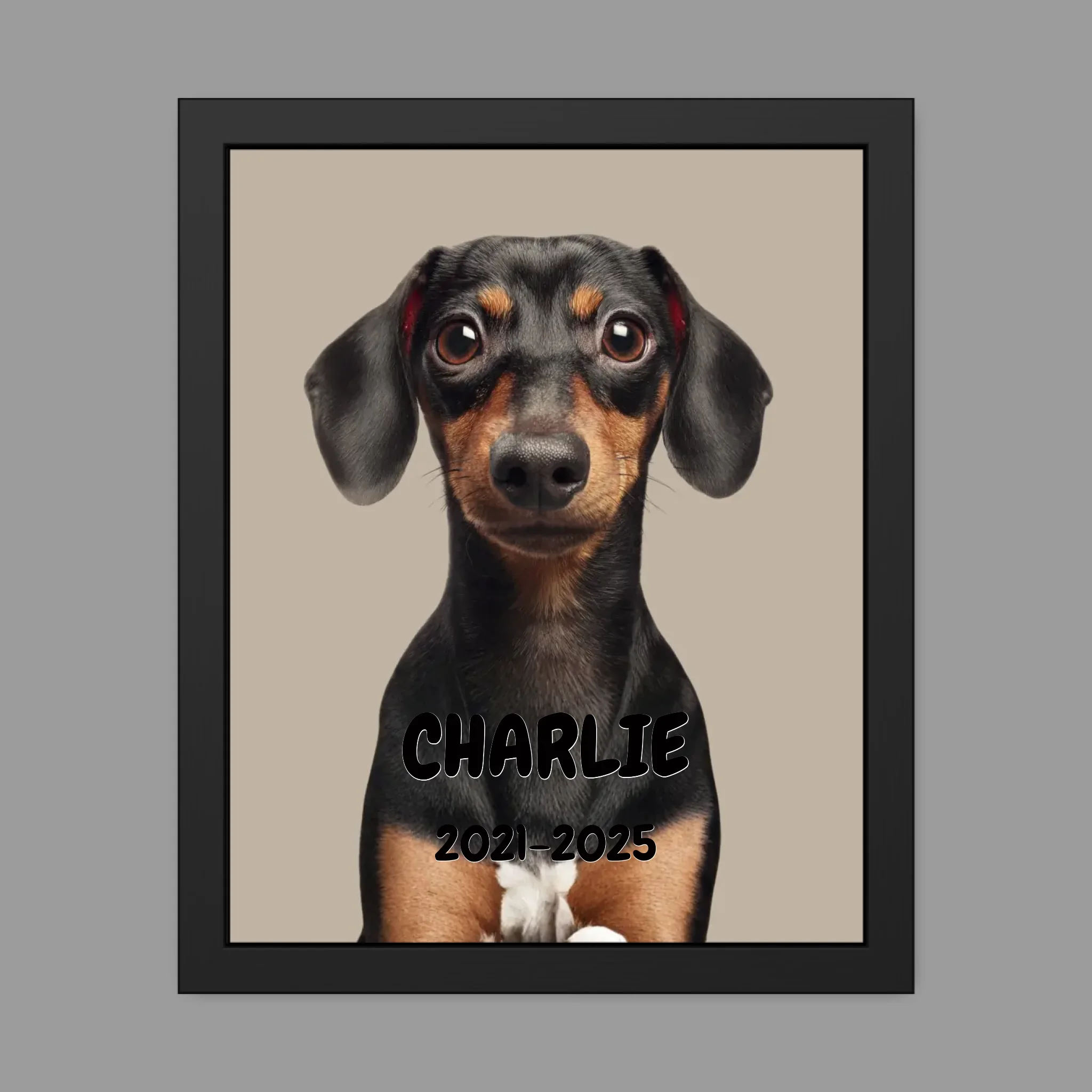 16 x 20 Framed Poster