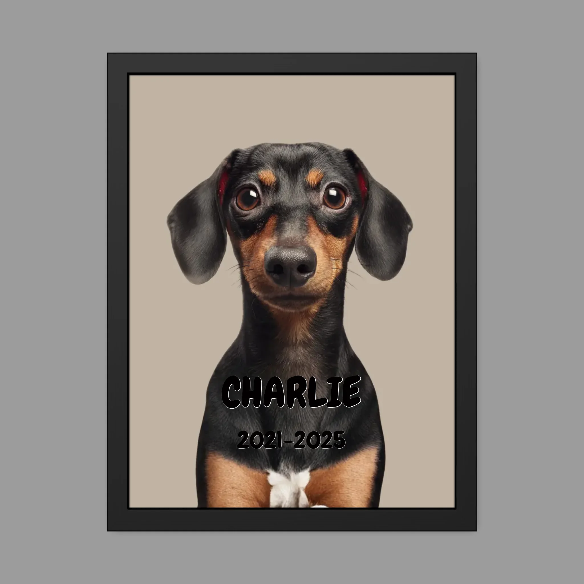 18″ x 24″ Framed Poster