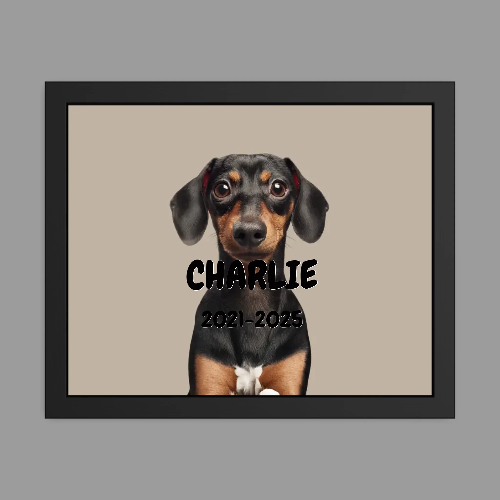 16 x 20 Framed Poster