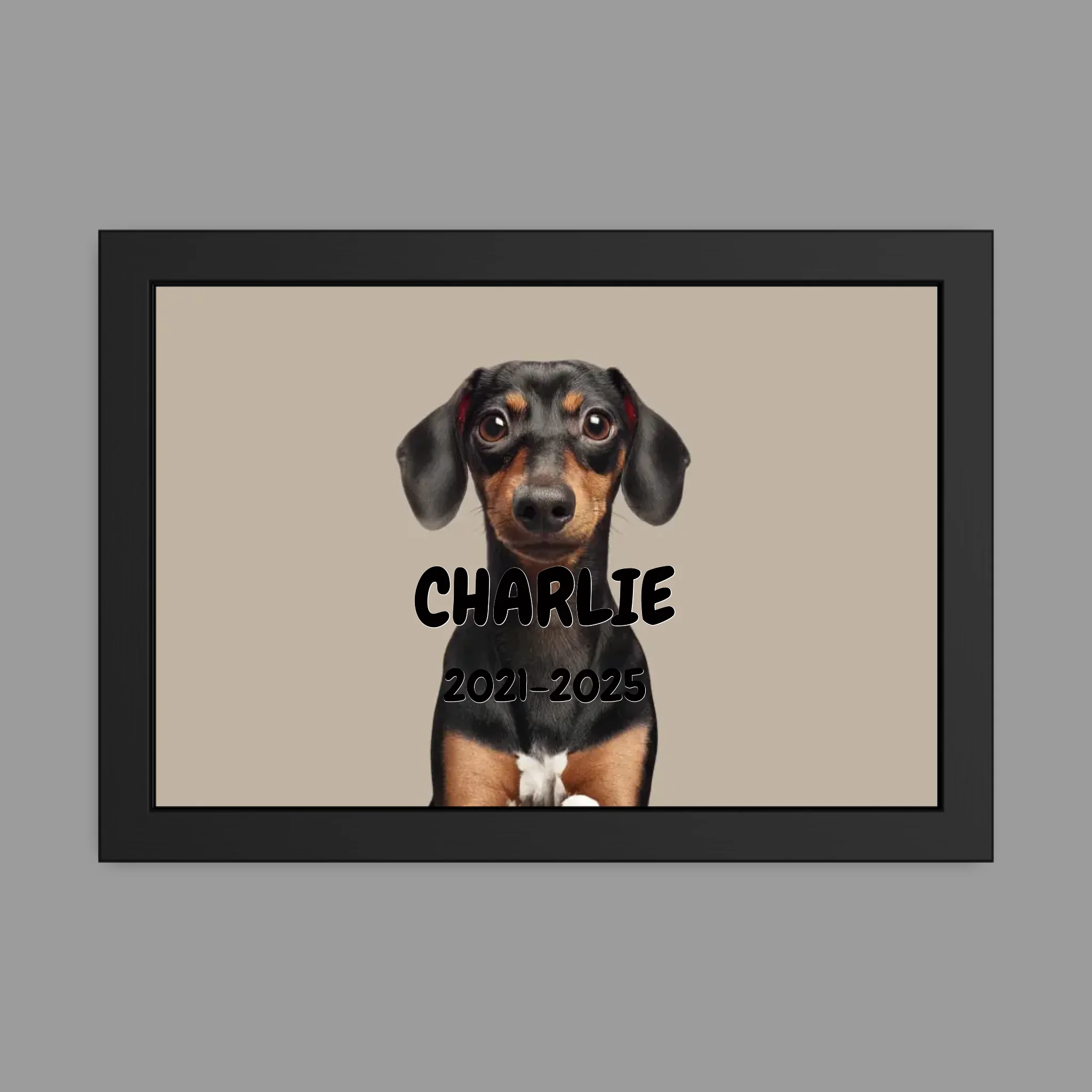 12″ x 18″ Framed Poster