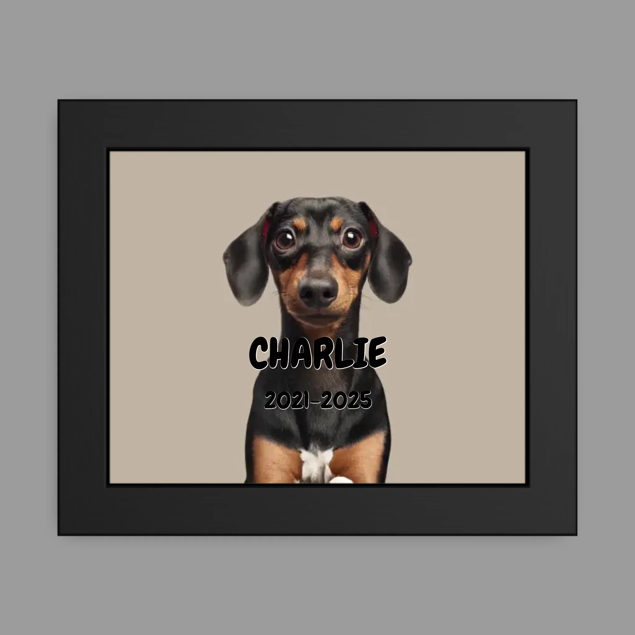 8″ x 10″ Framed Poster