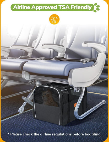 Cat Carrier Soft - Portable Pet Carrier for Small or Medium Cats, Dogs and Puppy up to 14Lbs, Airline Approved Dog Carrier with Safety Buckle - (Dark Gray)